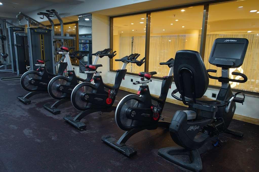 Best Western Premier Dynasty Addis Ababa Facilities photo